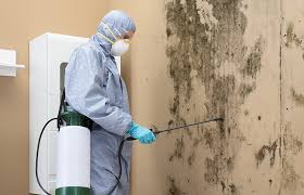 Best Industrial Mold Remediation  in Gurdon, AR